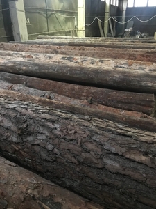 Куплю лес кругляк на постоянной основе грн.800