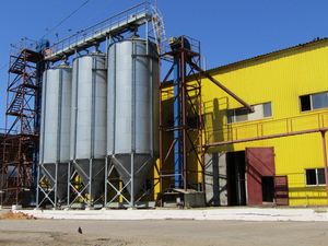 Продам масло подсолнечное, FCA (Харьков), CPT, CIF грн.20000