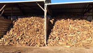 Нужен поставщик дров во Францию ##f_price|CURR_SIGN##