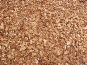 Пропоную щепу фруктовых дерев грн.0