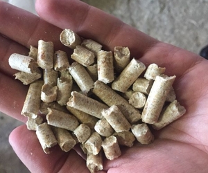 Светлая пеллета 80т в мес EXW грн.80