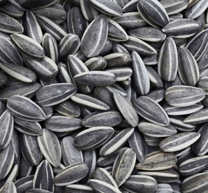 Продажа ядра подсолнечника, урожай 2018, Одесса грн.850