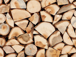 Дрова продам (береза, ольха, граб, сосна) грн.0