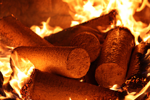 Брикеты топливные (Nestro) от производителя. Оптом и в розницу. грн.2200