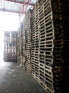 Покупаем поддоны дорого самовывоз грн.0