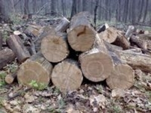 Продам дрова, недорого грн.450