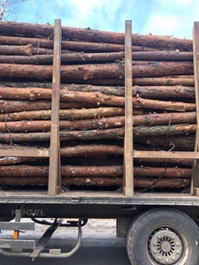 Сосновые дрова в неограниченном количестве, доставка грн.500