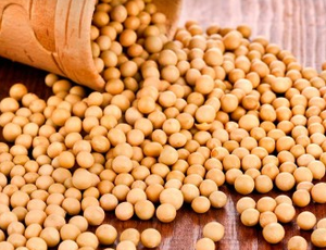 Куплю сою (маслозавод) от 1 тонны грн.0