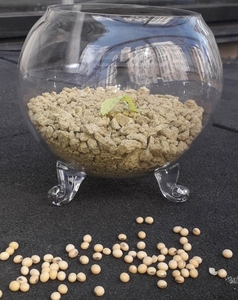 Продам соевый жмых (макуха) протеин 40 + грн.0