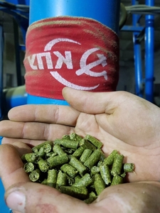 Люцерна из чистейшей травы для лошадей и грызнов грн.6500