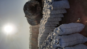 Древесный уголь, дуб, ясень грн.280