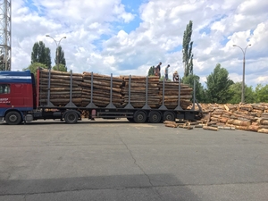 Продам дрова сосновые грн.650