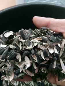 Шелуха подсолнечника не дроблёная, Херсонская обл. грн.1300