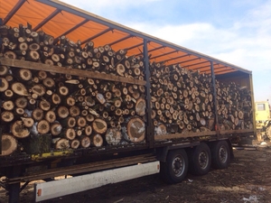 Реализуем дрова тополя опт доставка грн.300