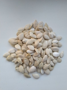 Тыквенные семена грн.50