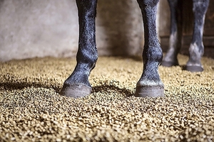 Покупаем гранулы соломы для подстилки животным грн.0