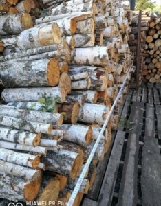 Реализуем дрова, ОПТ  грн.500