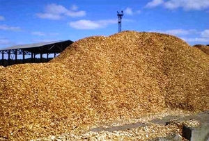 Продам топливную калиброванную щепу грн.230