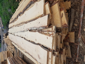 Продам шалевку сосны (сырая) грн.2200