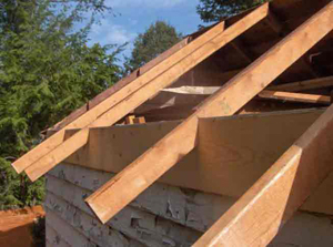 Сосна, брус, стропила, шалевка, свежепил грн.