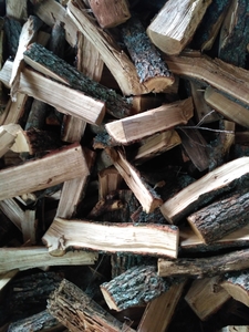Дрова дуб,сосна, берёза от 30 до 50 см грн.0