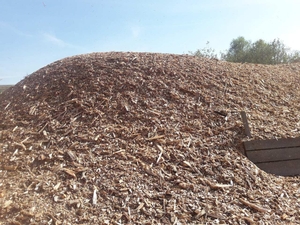 Щепа древесная топливная из твердых пород дерева грн.0