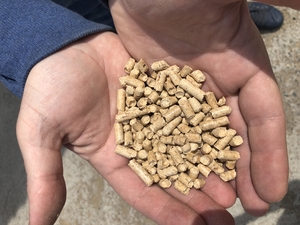 Древесные топливные пеллеты из 100% сосны грн.125