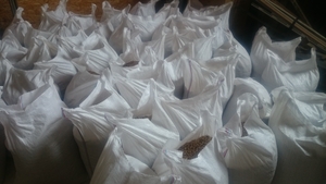 Продажа Оптом Пеллеты из соломы Украина - Европа грн.130