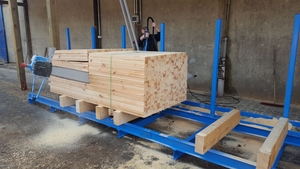 Prinz M-Ecostar на станині TWIN L для торцювання пакетів грн.