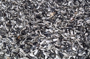 Заинтересованы в поставках лузги подсолнечной грн.0