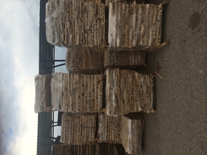 Сухие дубовые отходы грн.0