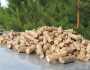 Купим светлые гранулы хвойных пород для Румынии грн.1