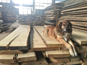 Сухой обрезной лес в продаже грн.