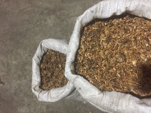 Продам скорлупу грецкого ореха грн.