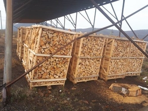 Дрова паливні букові грн.0