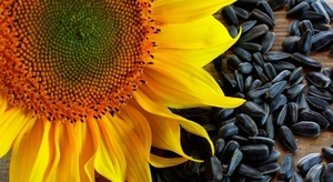 Лузга подсолнечника, Николаевская область грн.0