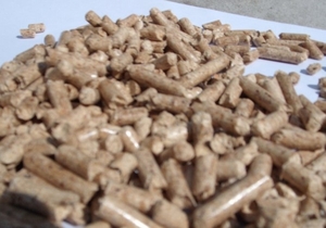 Запрос коммерческого предложения на древесные пеллеты грн.1