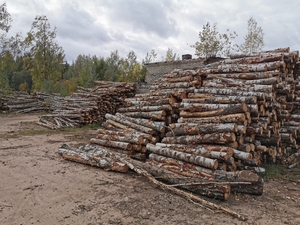 Продам древесный уголь грн.450