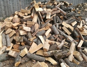 Цікавить закупівля дров твердих порід грн.0