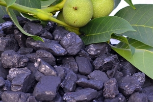 Продаю уголь антрацит на постоянной основе, вагонные нормы грн.0