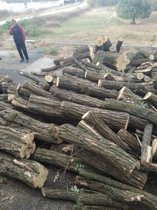 Продам дрова колотые твердых пород грн.1000