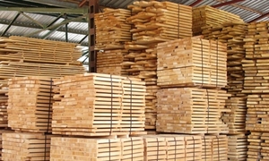 Поиск инвестиций для деревообрабатывающей отрасли грн.