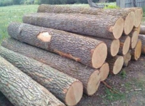 Интресует кругляк с доставкой в Киев грн.0