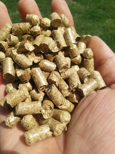 Продам пеллеты из соломы от производителя (Днепр) грн.2400