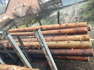 Продам кругляк сосны грн.1650