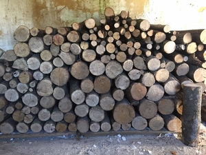 Дрова дуб, ясень. Продам грн.750