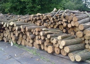 Продажа дров оптом, Полтавская область грн.800