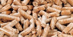 Куплю деревні пелети з бука грн.10