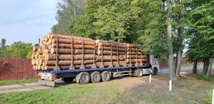 Продам лес кругляк разных пород с доставкой грн.0