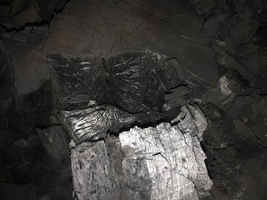 Древесный уголь из дуба и граба грн.280